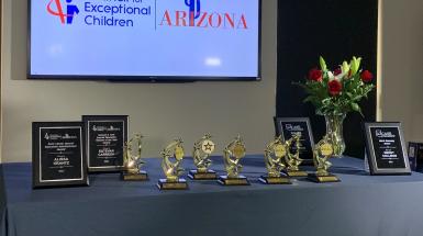 awards in front of a tv